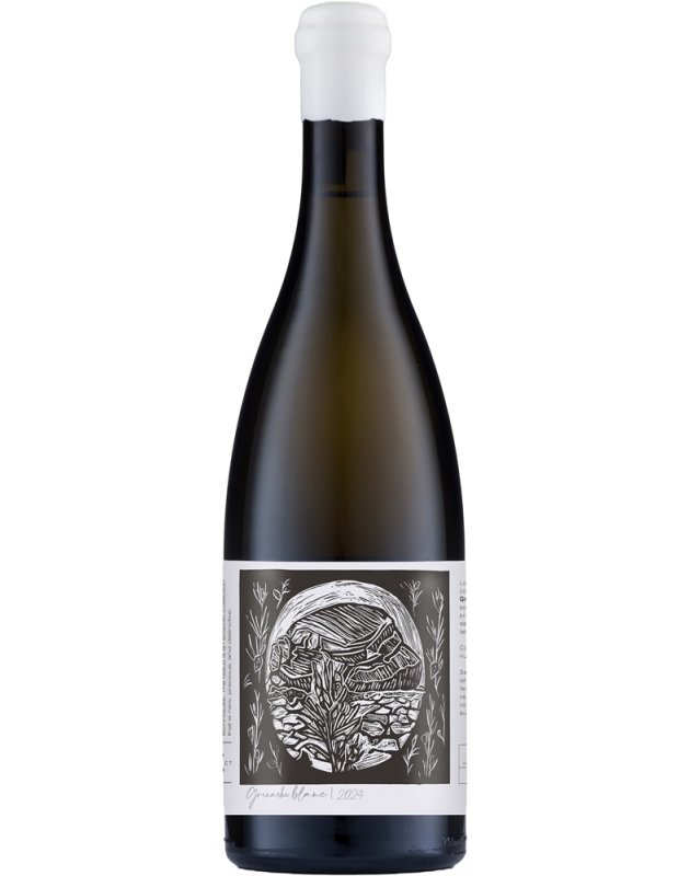 Kleine Zalze Project Z Grenache Blanc 2024 Kleine Zalze Project Z Grenache Blanc 2024